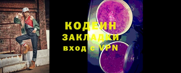 прущие грибы Богданович
