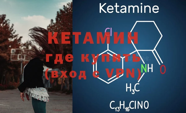 прущие грибы Богданович