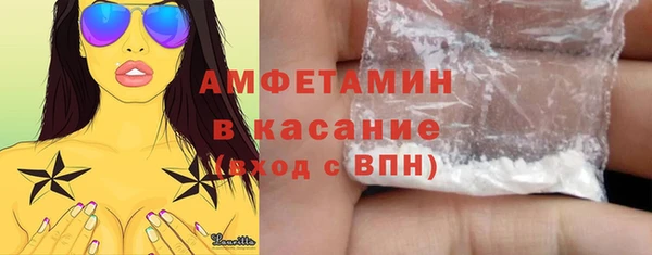 прущие грибы Богданович
