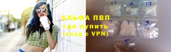 прущие грибы Богданович