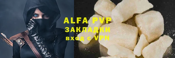 прущие грибы Богданович