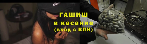 прущие грибы Богданович