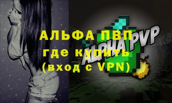прущие грибы Богданович