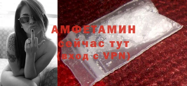прущие грибы Богданович