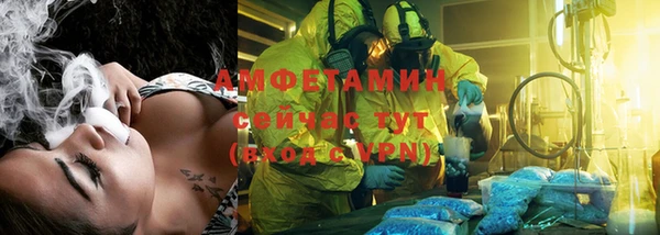 прущие грибы Богданович
