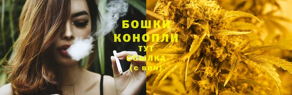 прущие грибы Богданович