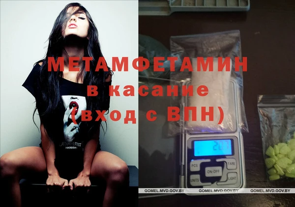 прущие грибы Богданович