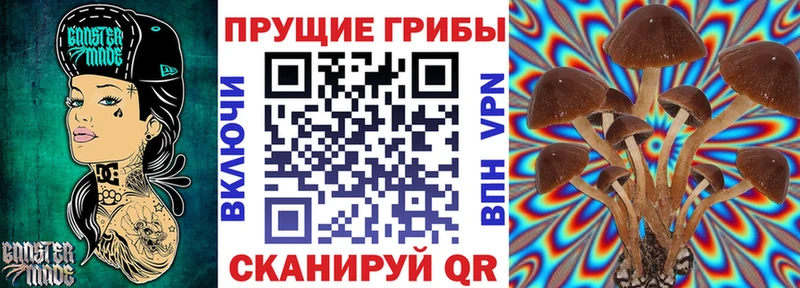 купить закладку  Богучар  Псилоцибиновые грибы мухоморы 
